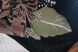 5&agrave;sec Vea San Juan