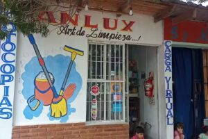 ANLUX ART.LIMPIEZA. CARGA VIRTUAL Y NAFTA