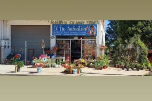 Art. De Limpieza &ldquo;El Tio Salvatore&rdquo;