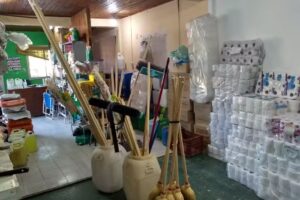 Art. Para la limpieza, RIGELIMP . De Gerardo Gambatese