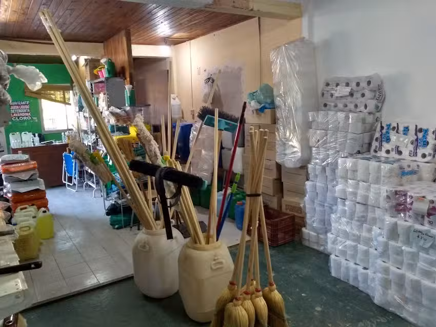 Art. Para la limpieza, RIGELIMP . De Gerardo Gambatese