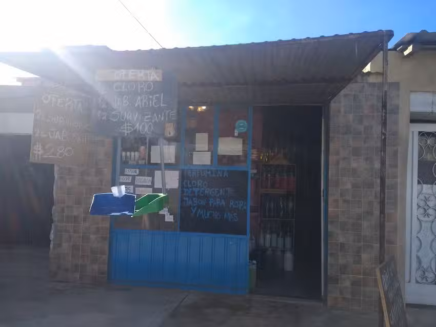 articulodelimpiezalossobrinos