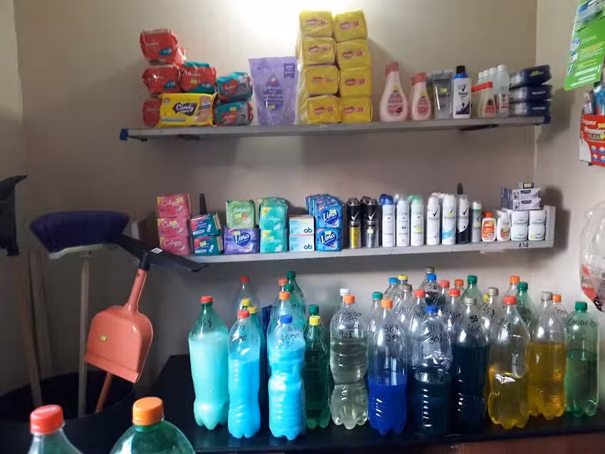 Art&iacute;culos de Limpieza