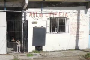 Articulos de Limpieza