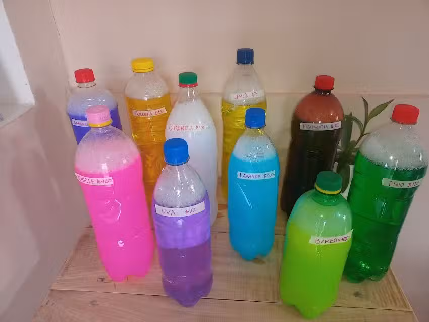 Art&iacute;culos de limpieza