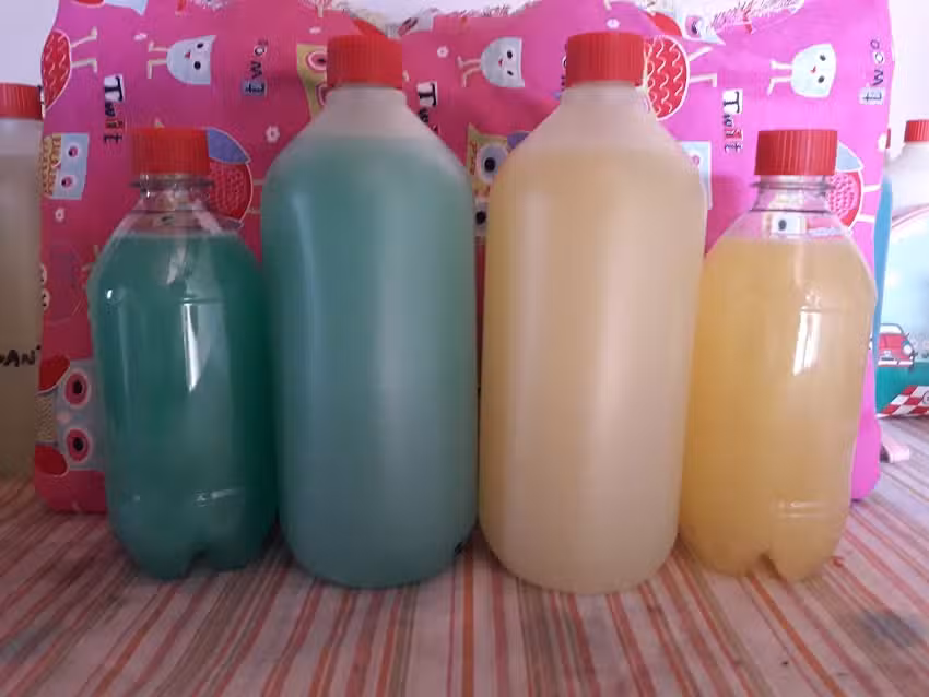 Art&iacute;culos de Limpieza Benji