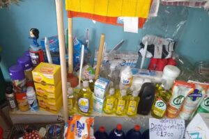 Art&iacute;culos De Limpieza En Pilar