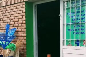 Art&iacute;culos de limpieza la bebida