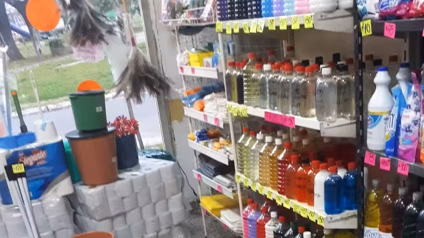 Articulos de limpieza &ldquo;los hermanos&rdquo;