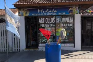 Art&iacute;culos de limpieza Mulata