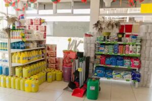 Articulos de Limpieza Sueltos y Envasados