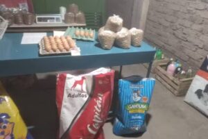 Articulos de limpieza y alimento para mascota el pollo