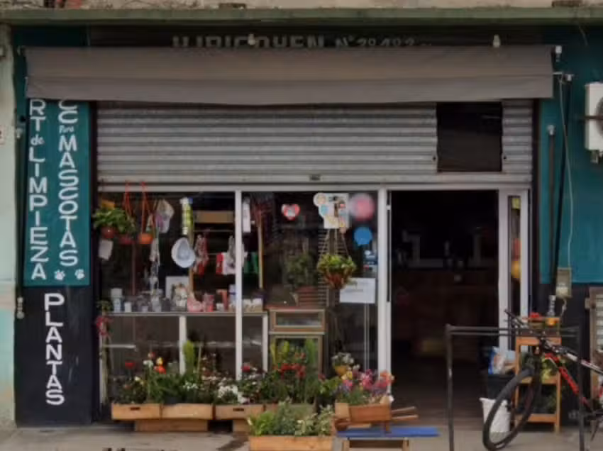 Art&iacute;culos de Limpieza y para Mascotas &ldquo;Tori&rdquo;