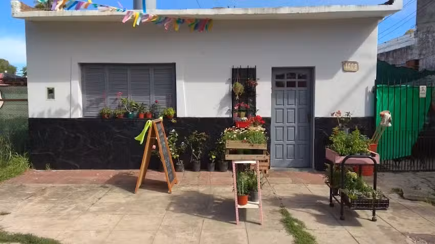 Art&iacute;culos de Limpieza y Vivero Mili