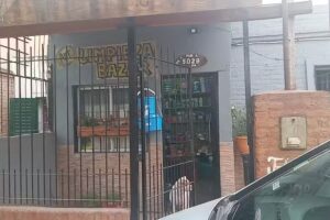 Articuloslimpieza y Bazar