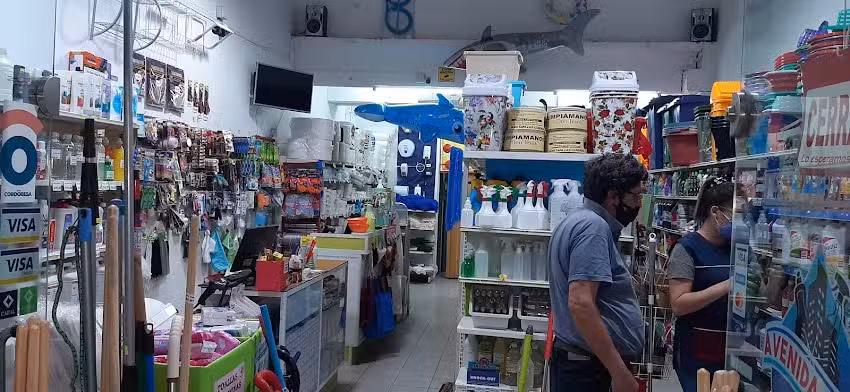 Avenida Clean