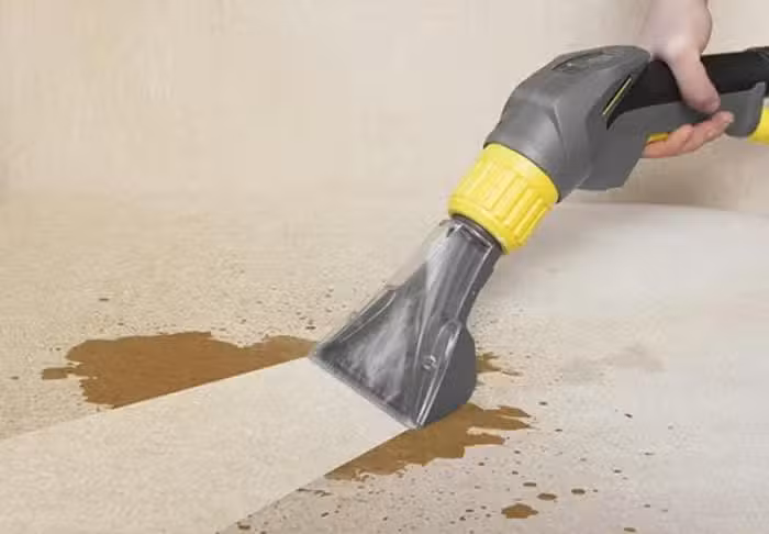 B&aacute;rbara Limpieza de Tapizados