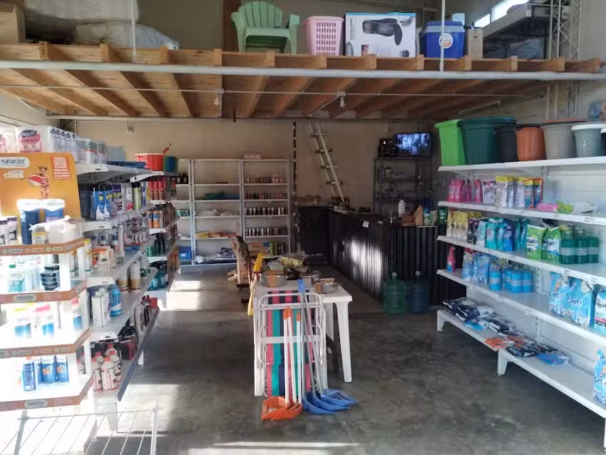 Bazar Ale