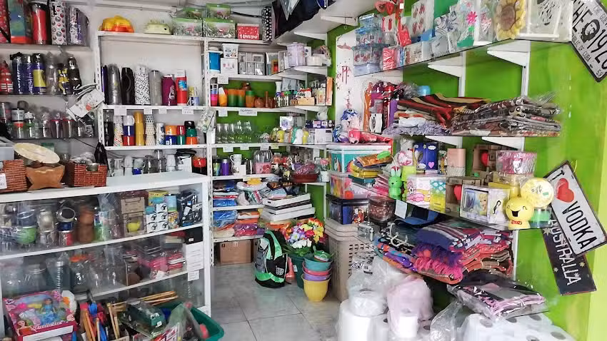 Bendiema &ndash; Art. de Limpieza