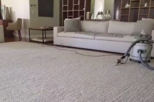 C V Limpio Limpieza Profesional