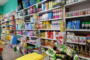 Caballito De Limpieza