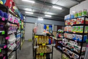 Capibara, art&iacute;culos de limpieza