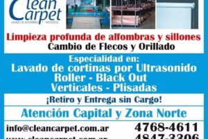 Clean Carpet/Cleanroller