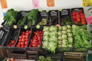 Clean Fresh “art.de limpieza”