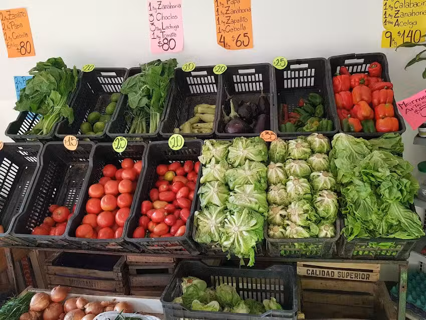 Clean Fresh &ldquo;art.de limpieza&rdquo;