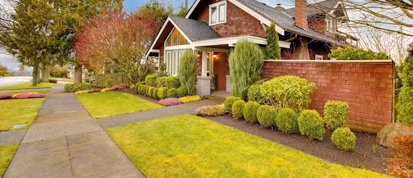 :: Cortamos Tu C&eacute;sped :: Servicio Express de Jardiner&iacute;a