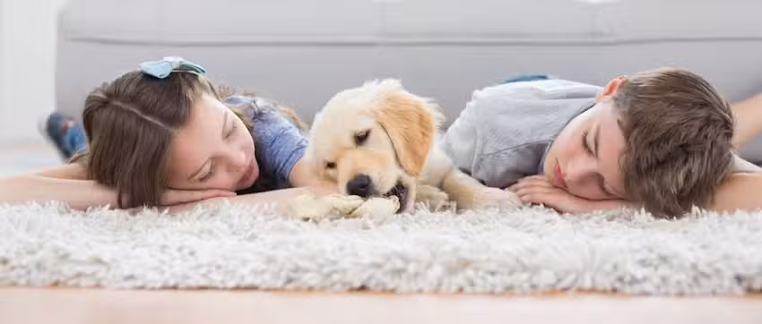 D&aacute;ndolo y Primi