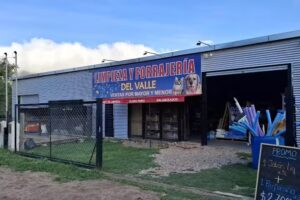 DEL VALLE LIMPIEZA Y FORRAJERIA