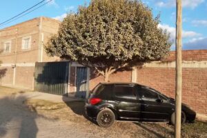 DIOL PRODUCTOS DE LIMPIEZA PROFESIONAL