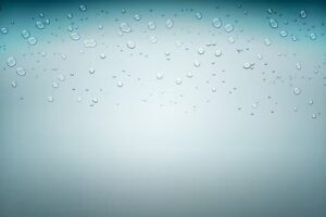 Distribuidora Alta Limpieza