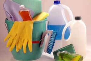 Domestic Service Argentina