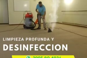 El Brillo Limpieza de Tapizados y Alfombras