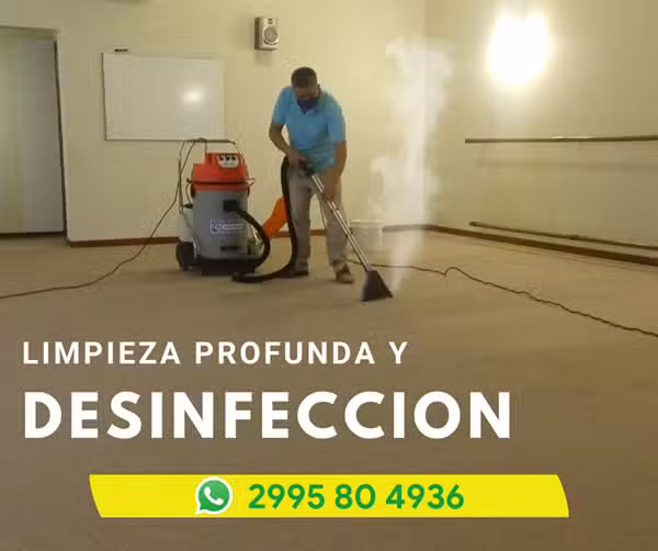 El Brillo Limpieza de Tapizados y Alfombras