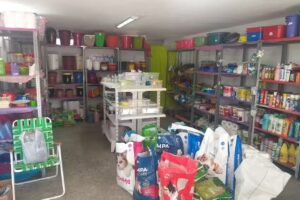 El club de la limpieza