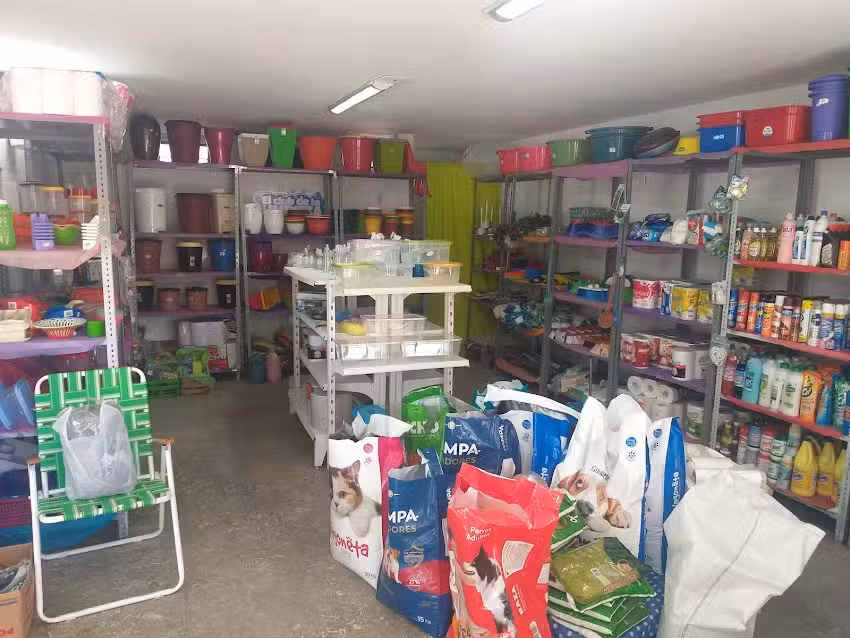 El club de la limpieza