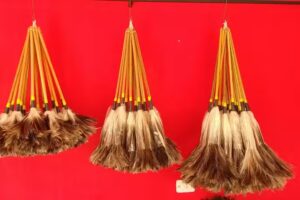 EL PLUMERITO SALOM&Oacute;N