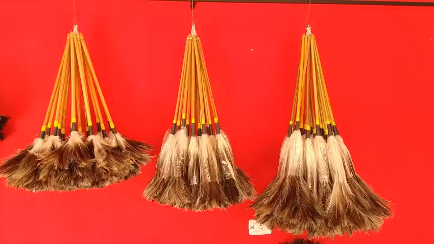 EL PLUMERITO SALOM&Oacute;N