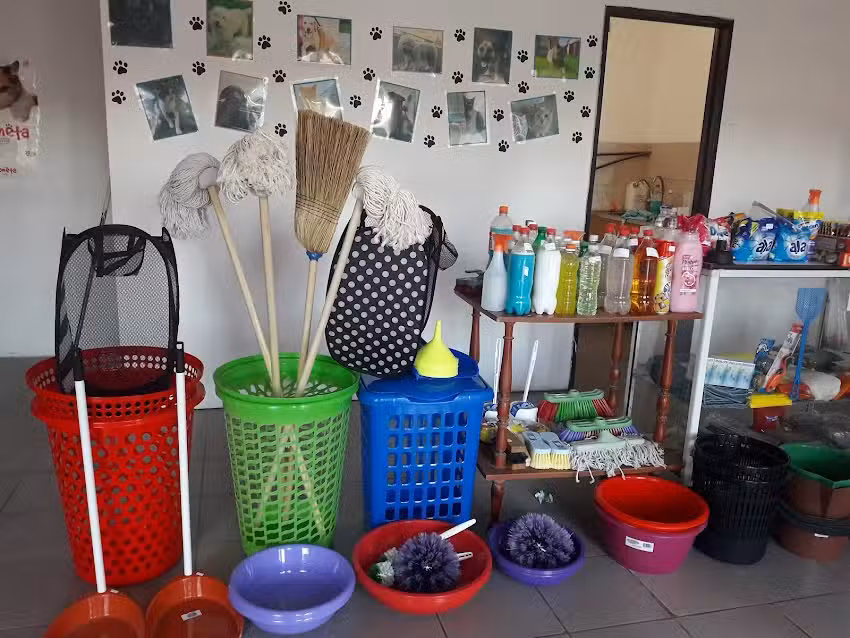 El Rinc&oacute;n de Nina Store (negocio)