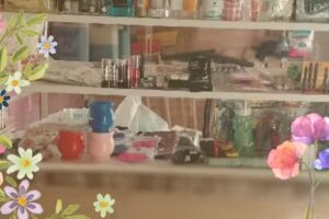 Eli productos limpieza