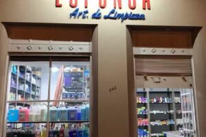 Esponja Art. de Limpieza