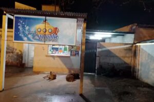 ESPUMITA ART. DE LIMPIEZA