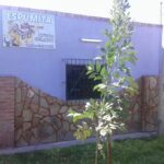 Espumita Art&iacute;culos de Limpieza