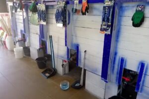 Estrella Art&iacute;culos de Limpieza