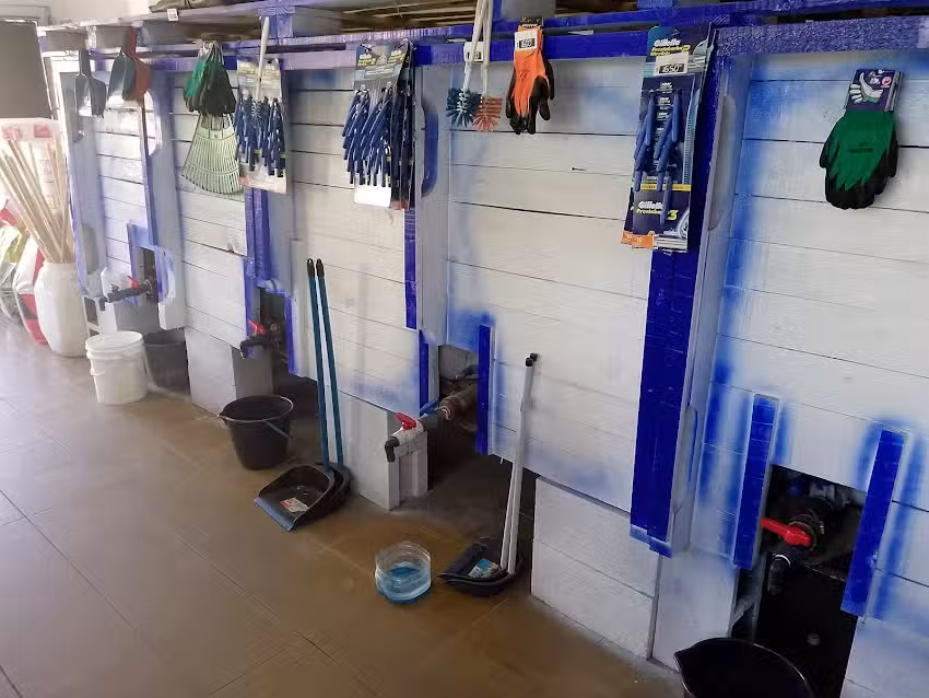 Estrella Art&iacute;culos de Limpieza