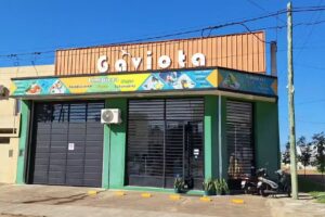 Gaviota Productos De Limpieza