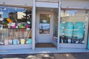 Génesis tienda de limpieza